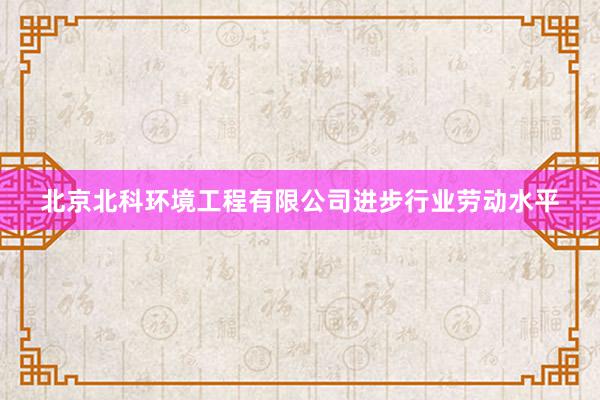 北京北科环境工程有限公司进步行业劳动水平