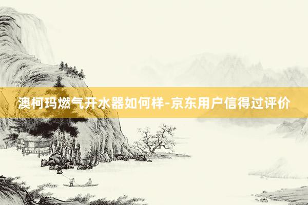 澳柯玛燃气开水器如何样-京东用户信得过评价