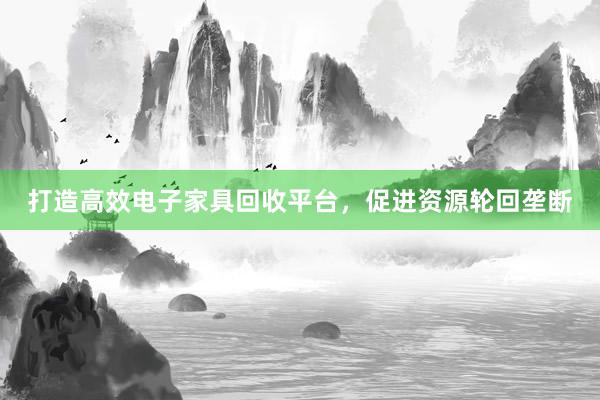 打造高效电子家具回收平台，促进资源轮回垄断